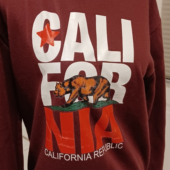 4/$60 New Burgundy California Hoodie - Size Small - Picture 4 of 8